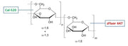 RatioWorks™ Cal-520®/zFluor 647™ -Dextran Conjugate *MW 10,000* - AAT Bioquest