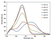 RatioWorks™ PDMPO Dextran - AAT Bioquest