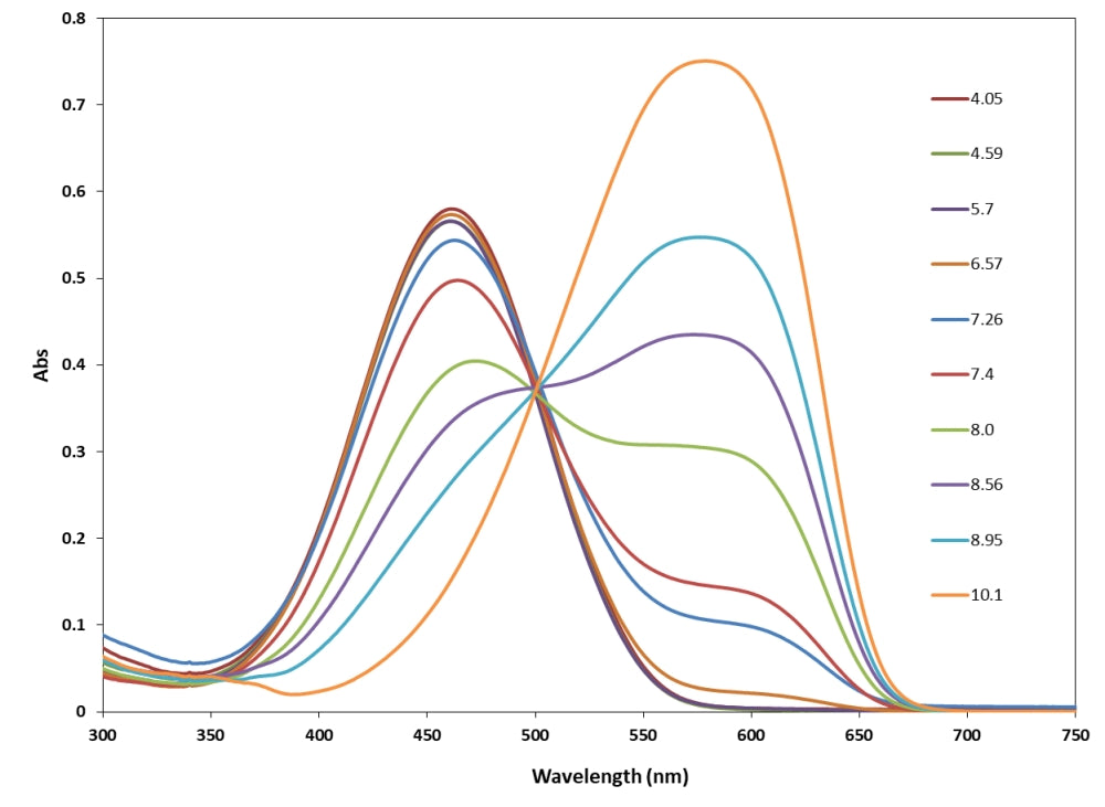 RatioWorks™ PH165, NHS ester - AAT Bioquest