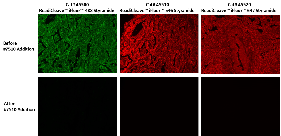 ReadiCleave™ AML Cleavage Buffer *5X Aqueous Solution* - AAT Bioquest