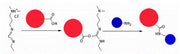 ReadiLink™ KLH Conjugation Kit - AAT Bioquest