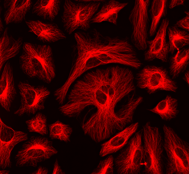 ReadiLink™ Rapid Cy3 Antibody Labeling Kit *Production Scale* - AAT Bioquest