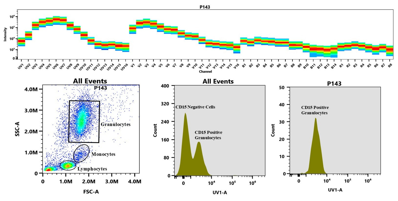 ReadiLink™ Rapid iFluor® 350 IgM Antibody Labeling Kit *Microscale Optimized for Labeling 50 μg Antibody Per Reaction* - AAT Bioquest