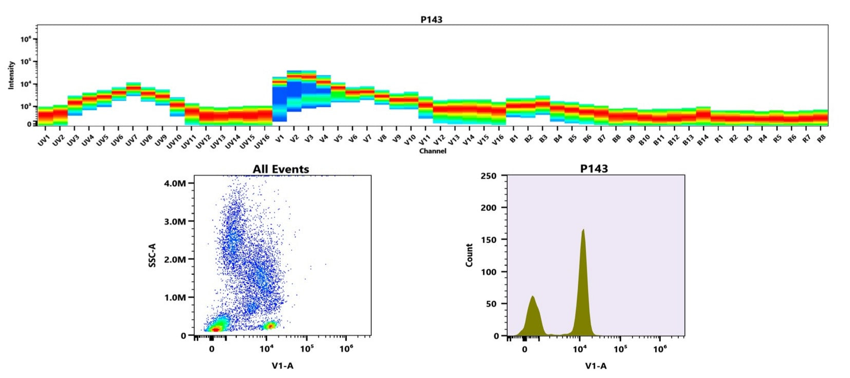 ReadiLink™ Rapid iFluor® 405 Antibody Labeling Kit *Microscale Optimized for Labeling 50 µg Antibody Per Reaction* - AAT Bioquest