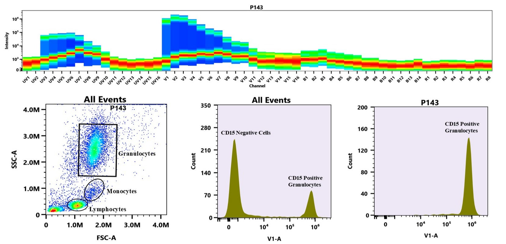 ReadiLink™ Rapid iFluor® 405 IgM Antibody Labeling Kit *Microscale Optimized for Labeling 50 μg Antibody Per Reaction* - AAT Bioquest