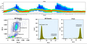 ReadiLink™ Rapid iFluor® 555 IgM Antibody Labeling Kit *Microscale Optimized for Labeling 50 μg Antibody Per Reaction* - AAT Bioquest