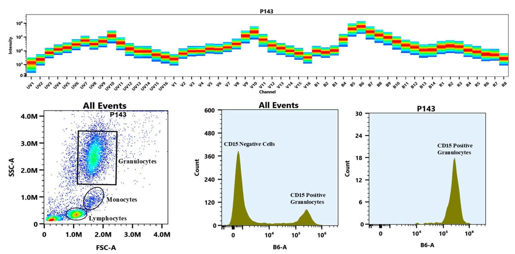 ReadiLink™ Rapid iFluor® 594 IgM Antibody Labeling Kit *Microscale Optimized for Labeling 50 μg Antibody Per Reaction* - AAT Bioquest
