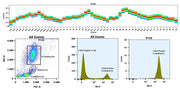 ReadiLink™ Rapid iFluor® 594 IgM Antibody Labeling Kit *Microscale Optimized for Labeling 50 μg Antibody Per Reaction* - AAT Bioquest