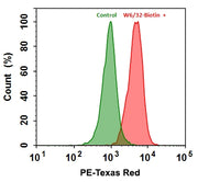 ReadiLink™ Rapid mFluor™ Green 620 Antibody Labeling Kit *Microscale Optimized for Labeling 50 μg Antibody Per Reaction* - AAT Bioquest