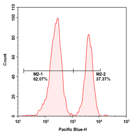 ReadiLink™ Rapid mFluor™ Violet 420 Antibody Labeling Kit *Microscale Optimized for Labeling 50 μg Antibody Per Reaction* - AAT Bioquest
