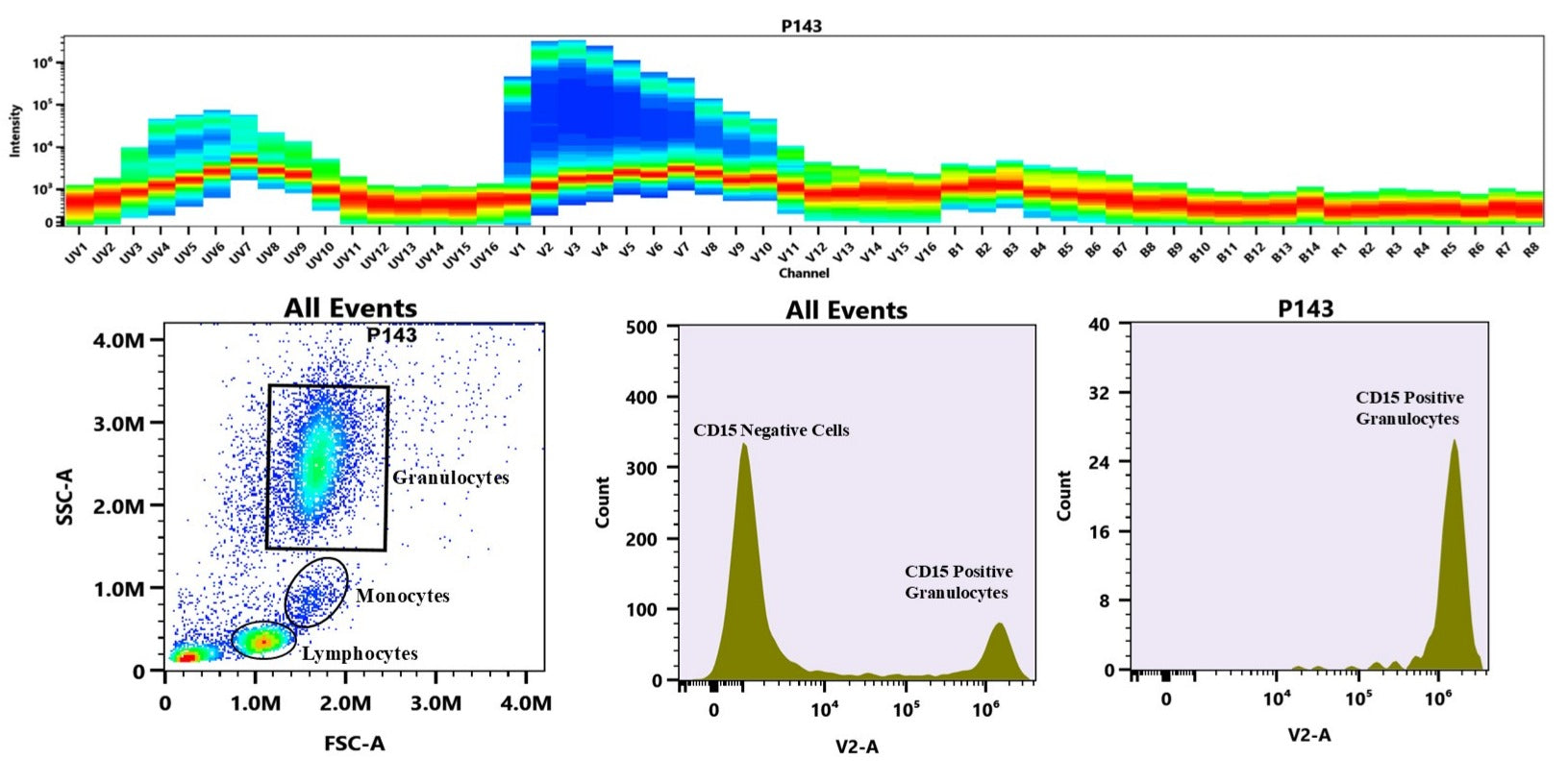 ReadiLink™ Rapid mFluor™ Violet 450 IgM Antibody Labeling Kit *Microscale Optimized for Labeling 50 μg Antibody Per Reaction* - AAT Bioquest