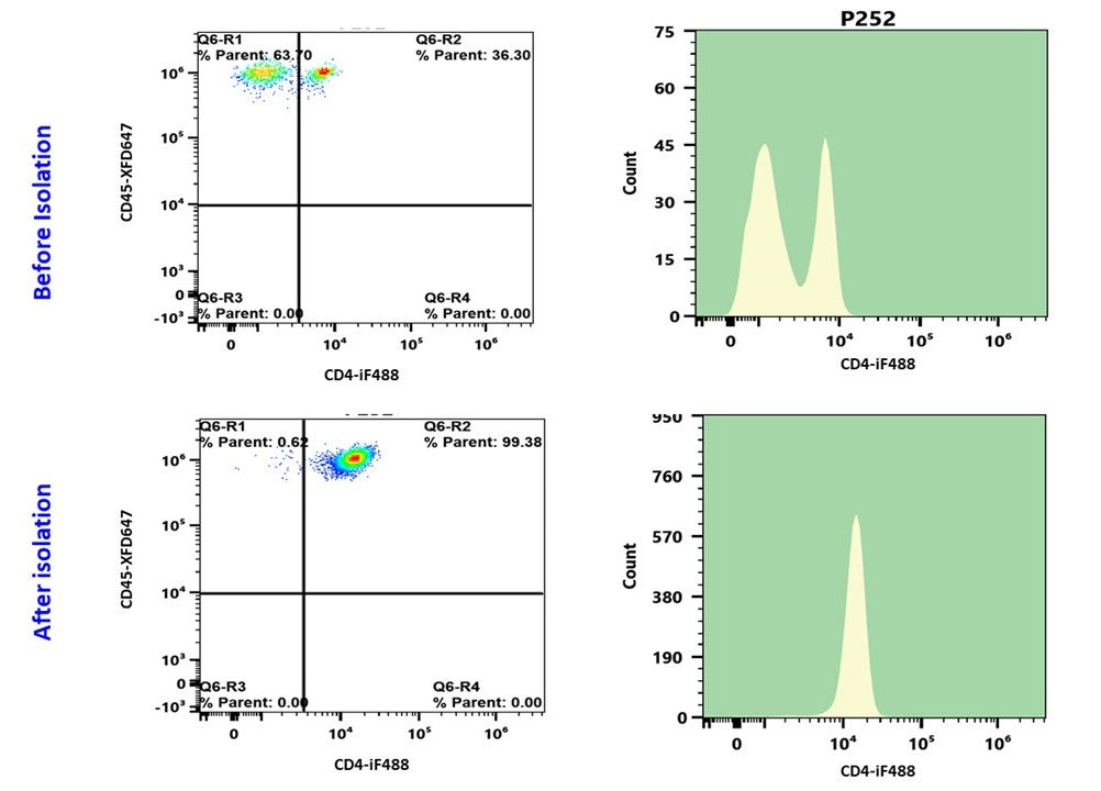 ReadiPrep™ CD4+ Cell Isolation Kit *Optimized for processing 30 mL blood* - AAT Bioquest