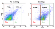 ReadiPrep™ Exosome Isolation Kit - AAT Bioquest