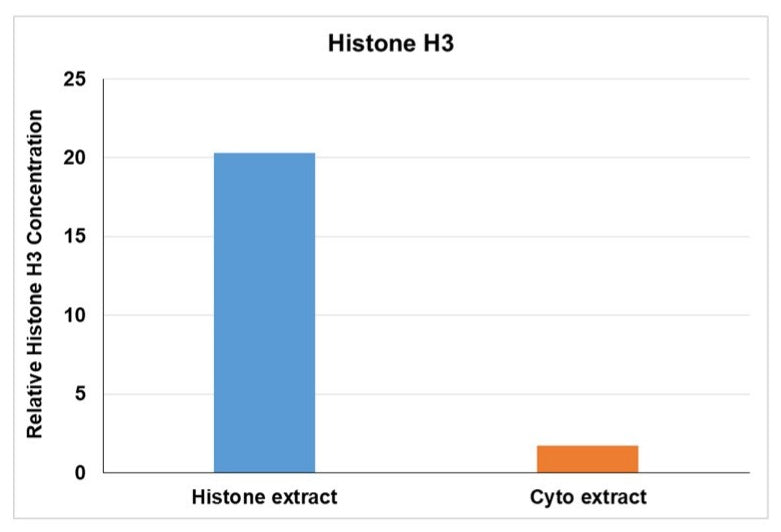 ReadiPrep™ Histone Extraction Kit - AAT Bioquest