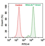 ReadiPrep™ Mitochondrial/Cytoplasmic Fractionation Kit - AAT Bioquest