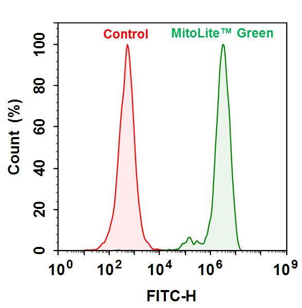ReadiPrep™ Mitochondrial/Cytoplasmic Fractionation Kit - AAT Bioquest