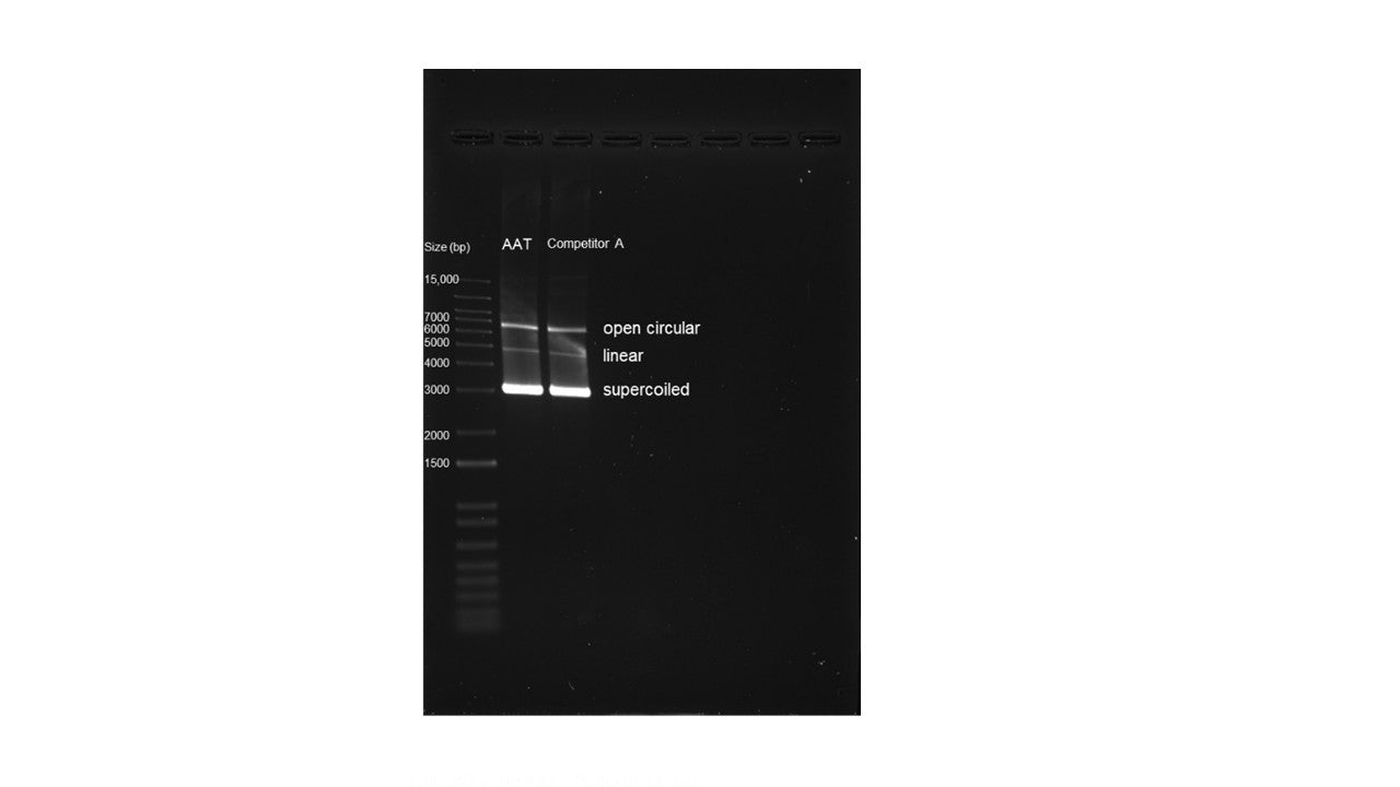 ReadiPrep™ Plasmid Preparation Column - AAT Bioquest