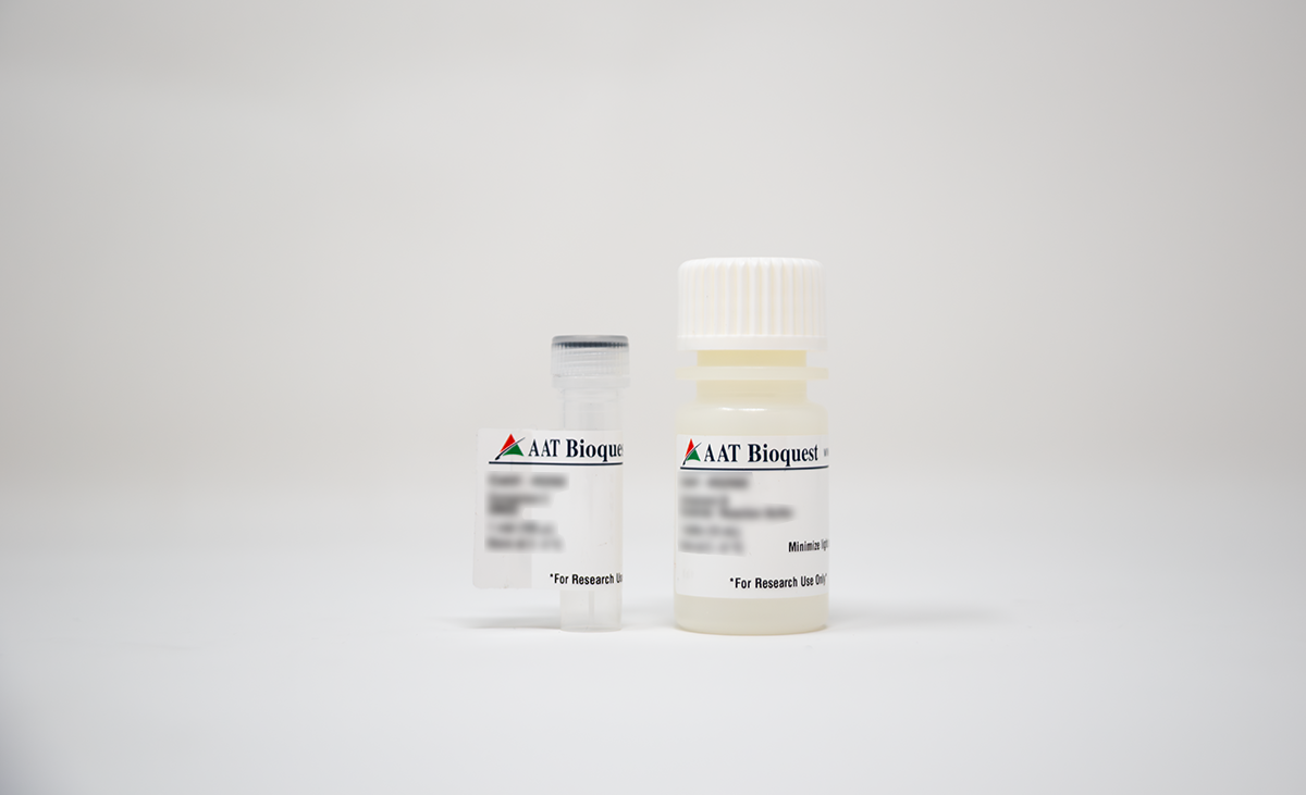 ReadiPrep™ Protein G-Agarose Resin - AAT Bioquest
