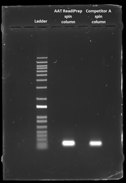 ReadiPrep™ Spin Column for PCR Product Cleanup *Compatible with Qiagen QIAQuick PCR Cleanup Kit* - AAT Bioquest