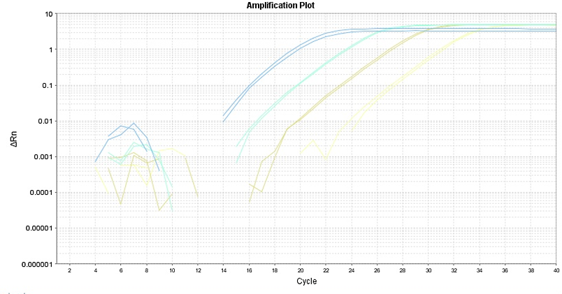 ReadiScript™ RT Reverse Transcription Kit - AAT Bioquest