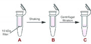 ReadiUse™ 10KD Spin Filter - AAT Bioquest