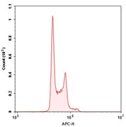 ReadiUse™ DRAQ5 Staining Solution *5 mM in Water* - AAT Bioquest