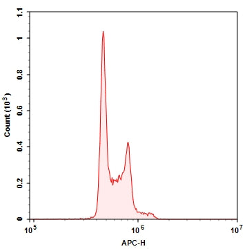 ReadiUse™ DRAQ5 Staining Solution *5 mM in Water* - AAT Bioquest