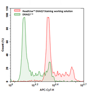 ReadiUse™ DXAQ7 Staining Solution *5 mM in DMSO/Superior Replacement to DRAQ7* - AAT Bioquest