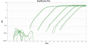 ReadiUse™ PCR Reaction Buffer - AAT Bioquest