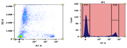 ReadiUse™ Preactivated APC-Cy7 Maleimide - AAT Bioquest