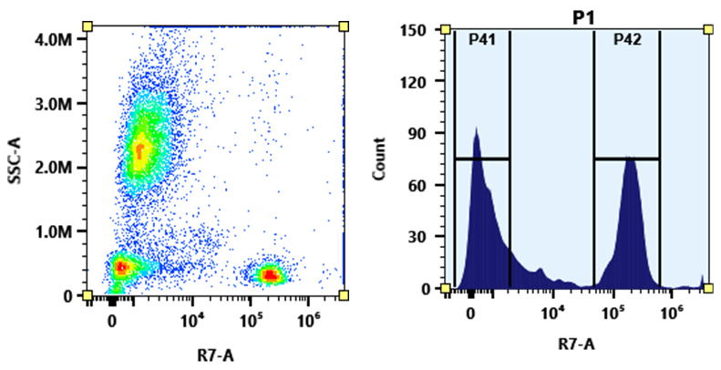 ReadiUse™ Preactivated APC-Cy7 Tandem - AAT Bioquest