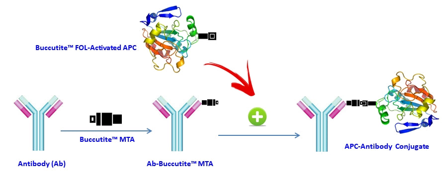 ReadiUse™ Preactivated APC-iFluor® 800 Tandem - AAT Bioquest