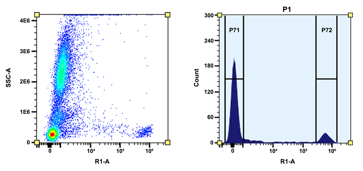 ReadiUse™ Preactivated APC Maleimide [Activated Allophycocyanin] - AAT Bioquest