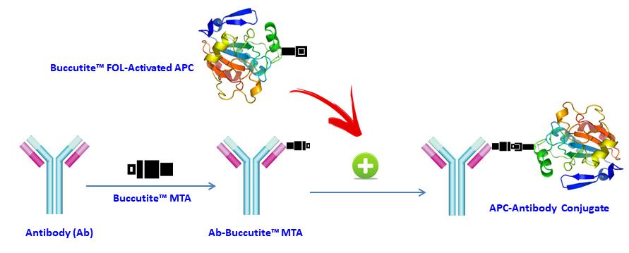 ReadiUse™ Preactivated APC - AAT Bioquest