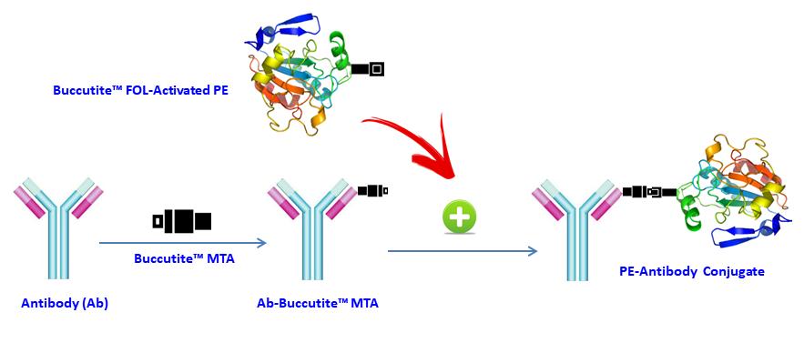 ReadiUse™ Preactivated PE-Cy5 Tandem - AAT Bioquest