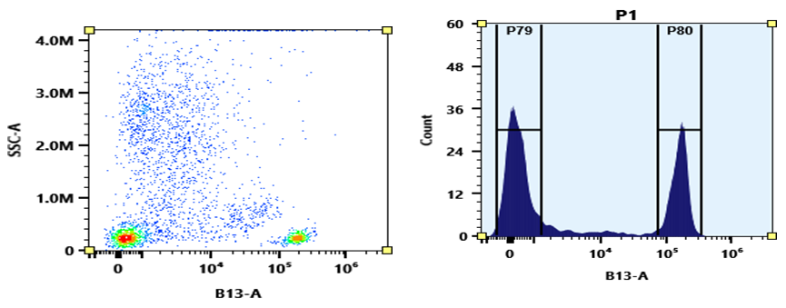 ReadiUse™ Preactivated PE-Cy7 Maleimide - AAT Bioquest