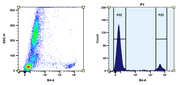 ReadiUse™ Preactivated PE Maleimide [Activated R-Phycoerythrin] - AAT Bioquest