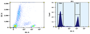 ReadiUse™ Preactivated PE-Texas Red Maleimide - AAT Bioquest
