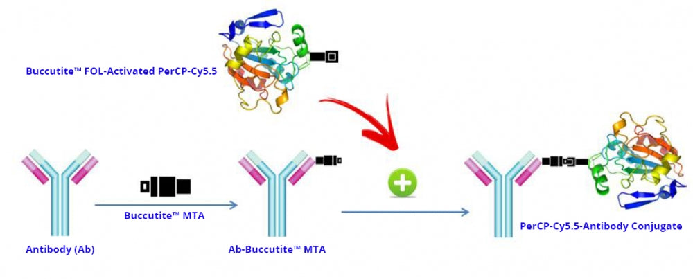 ReadiUse™ Preactivated PerCP-Cy5.5 Tandem - AAT Bioquest