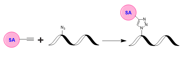 ReadiUse™ Preactivated Streptavidin Azide - AAT Bioquest