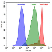 ReadiUse™ Staurosporine * 1 mM DMSO stock solution* - AAT Bioquest