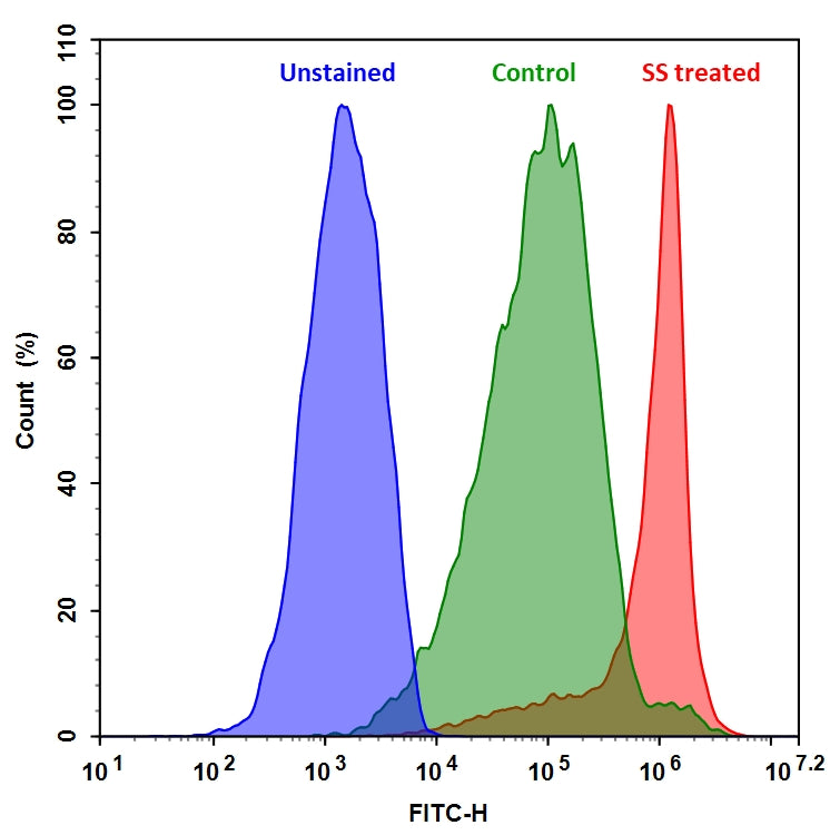 ReadiUse™ Staurosporine * 1 mM DMSO stock solution* - AAT Bioquest