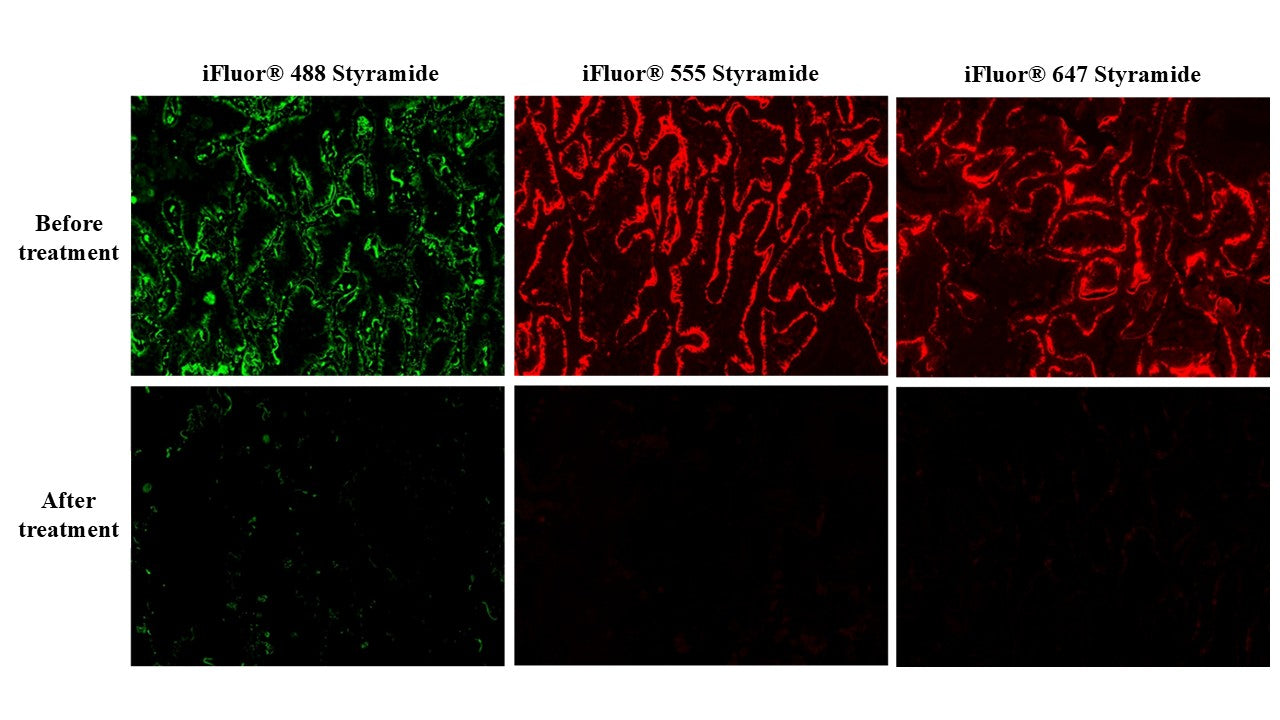 ReadiUse™ Tyramide (TSA)/Styramide (PSA) Stripping Buffer - AAT Bioquest