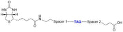 ReadiView™ biotin acid - AAT Bioquest