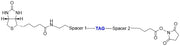 ReadiView™ biotin succinimidyl ester - AAT Bioquest