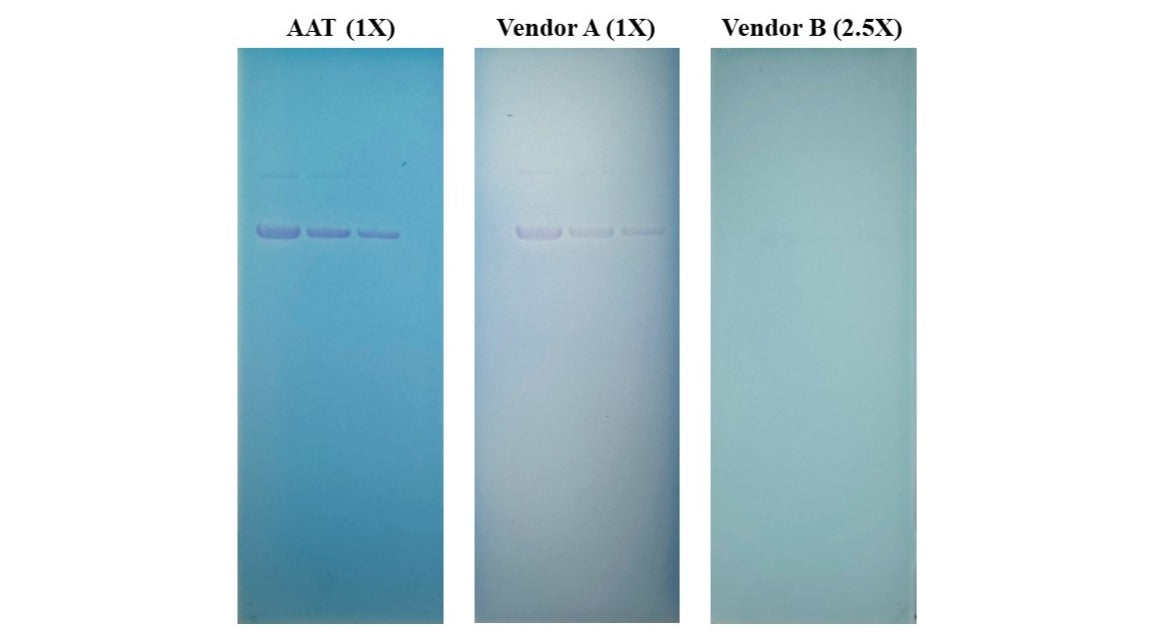 ReadiView™ Blue Color Nucleic Acid Gel Stain *100X Water Solution* - AAT Bioquest