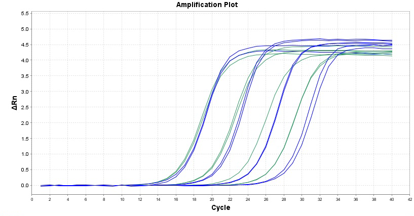 ReadiView™ Blue Real-Time PCR Visualization Dye *200X* - AAT Bioquest