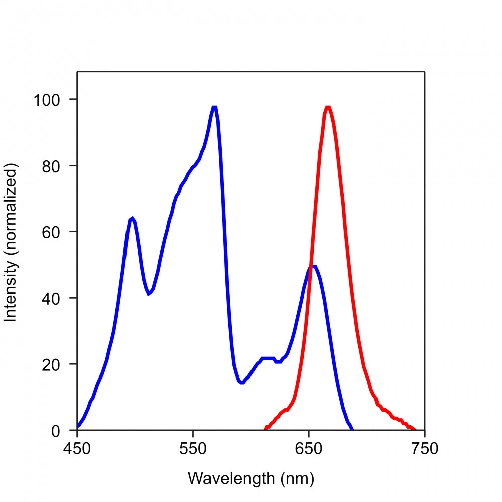 RPE-iFluor® 647-streptavidin conjugate - AAT Bioquest