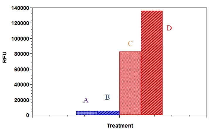 Screen Quest™ Fluorimetric Fatty Acid Uptake Assay Kit - AAT Bioquest