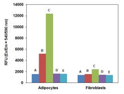 Screen Quest™ Fluorimetric Glucose Uptake Assay Kit - AAT Bioquest